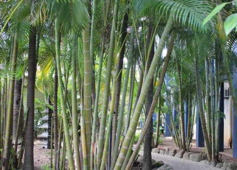 Bohemia Resort Cairns Luaran gambar